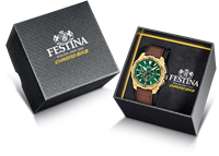 Watch Festina Man in Steel F20728/2 - F20728/2